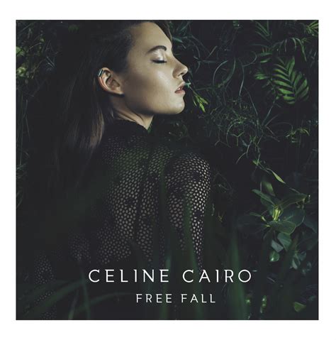 celine cairo concert|Celine Cairo album free fall.